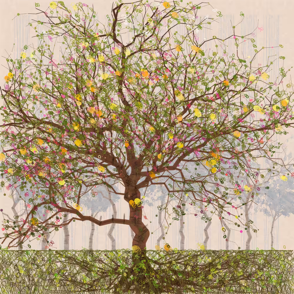 Orchard #42