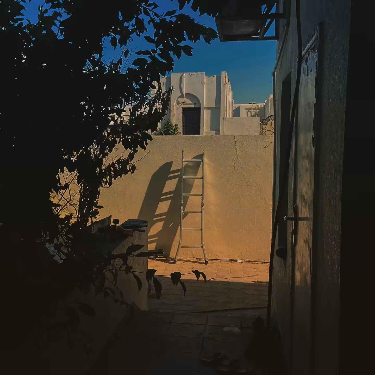Ladder to Self Realization