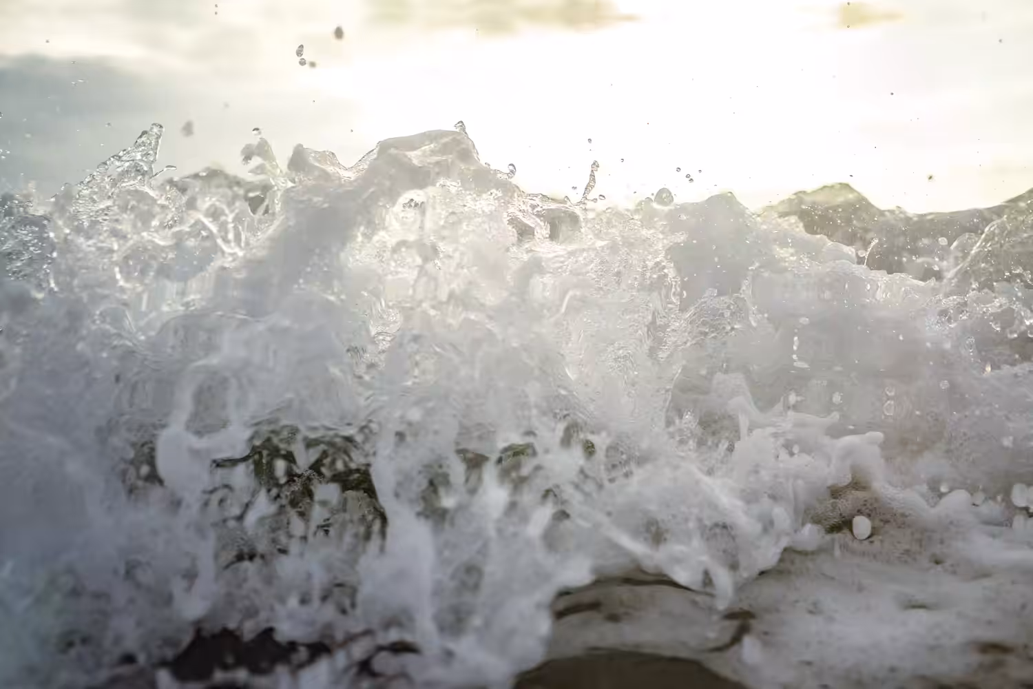 Save Our Seas