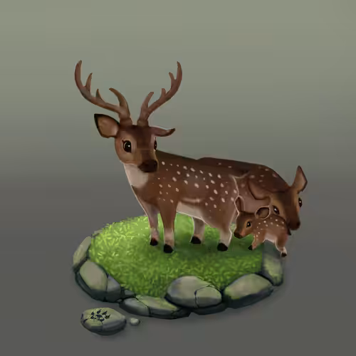 animals sanctuary: Axis deer