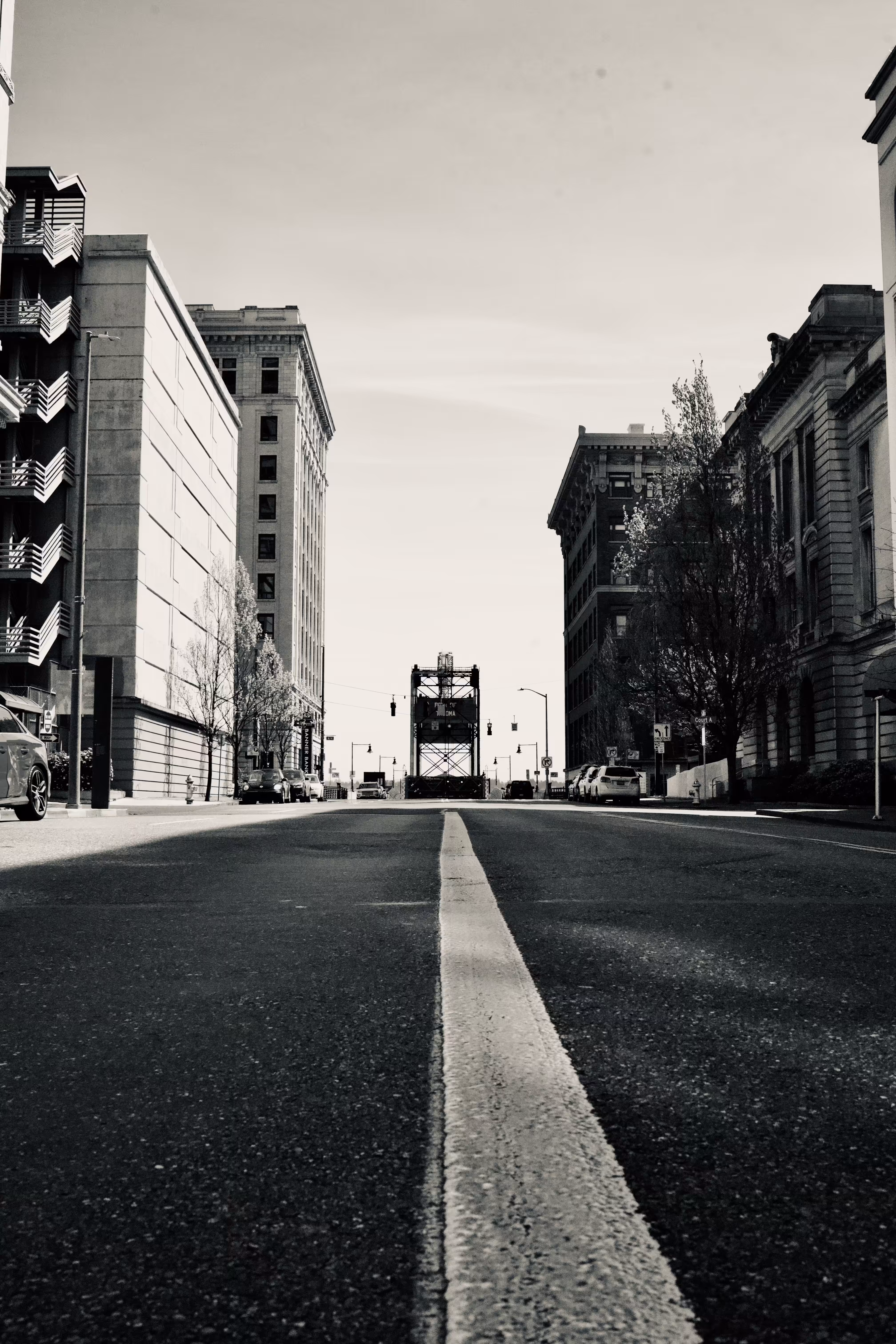 The Captain's Collection: Follow the White Line