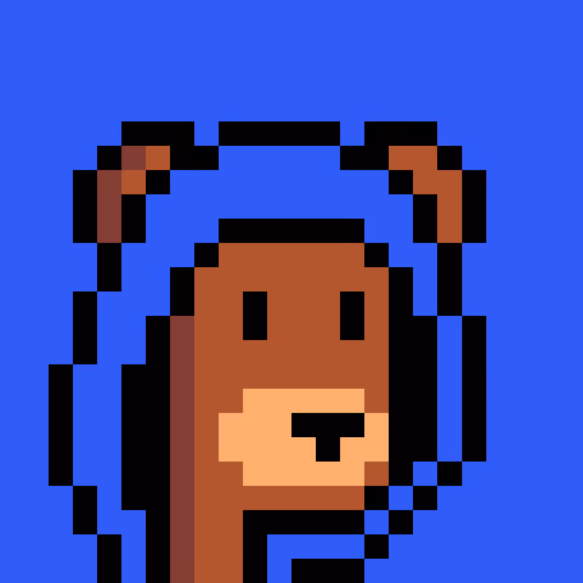 BearPunks #2544