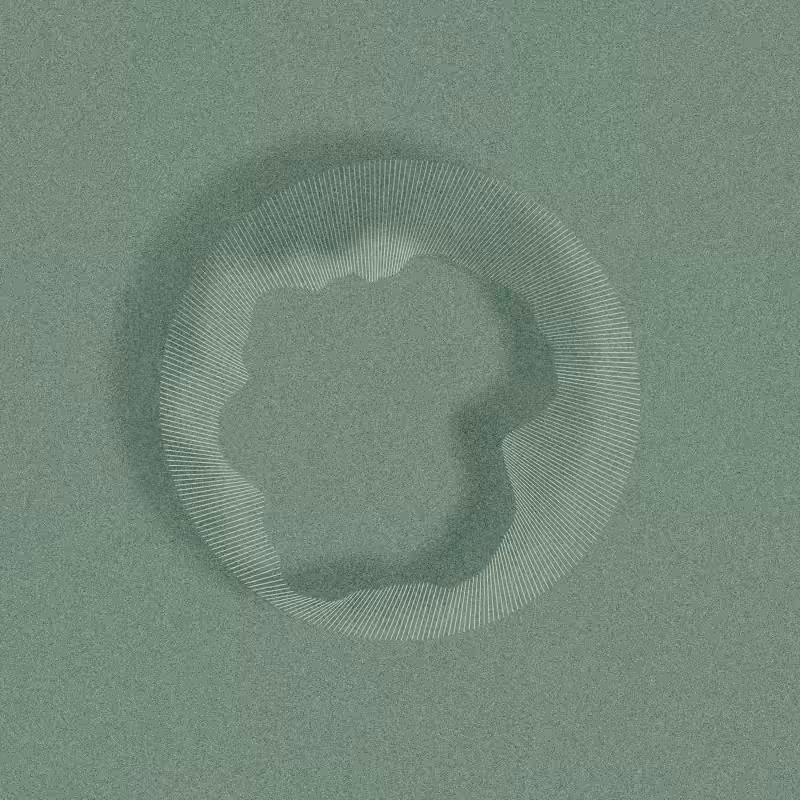 Tree Rings #82