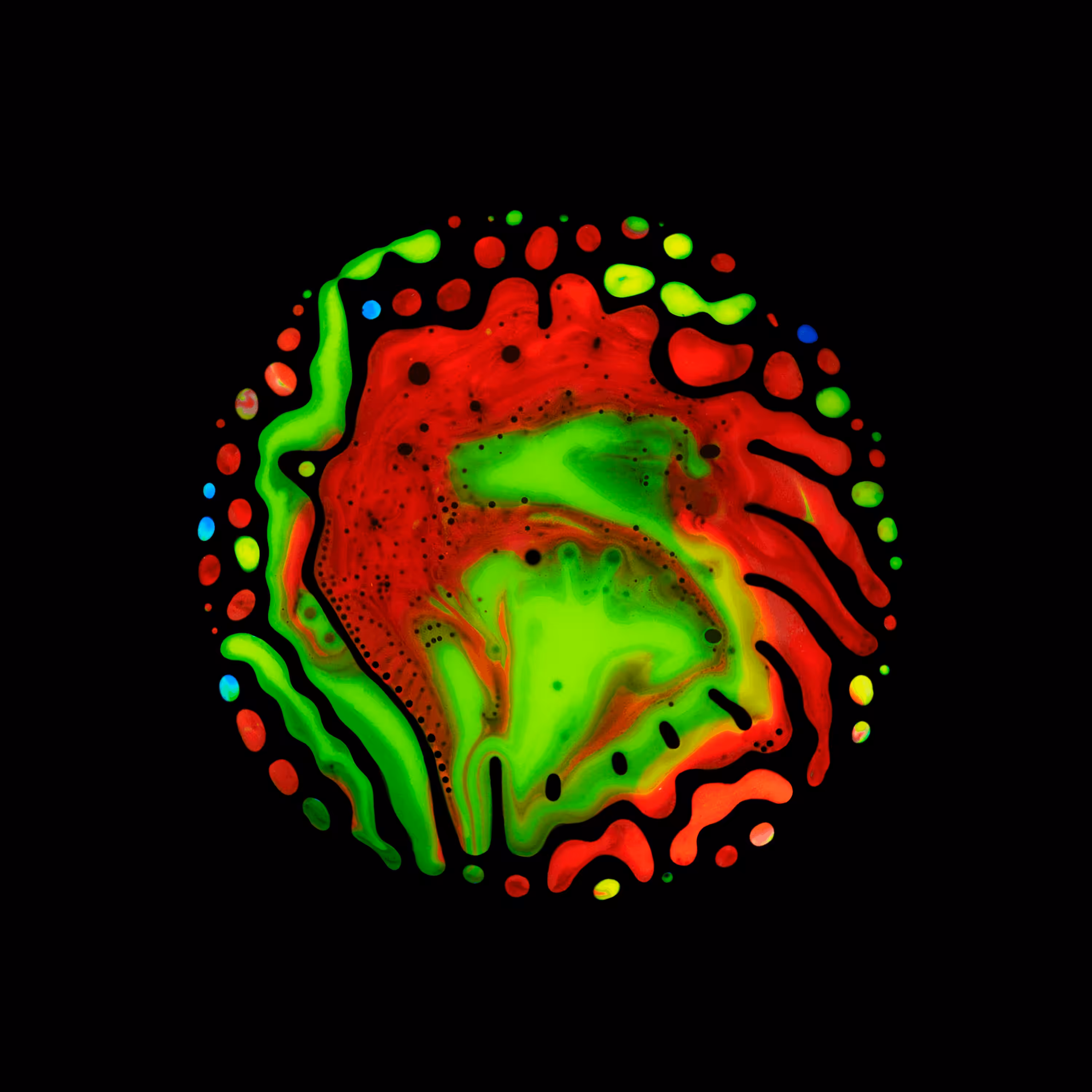 Haematopoiesis #154