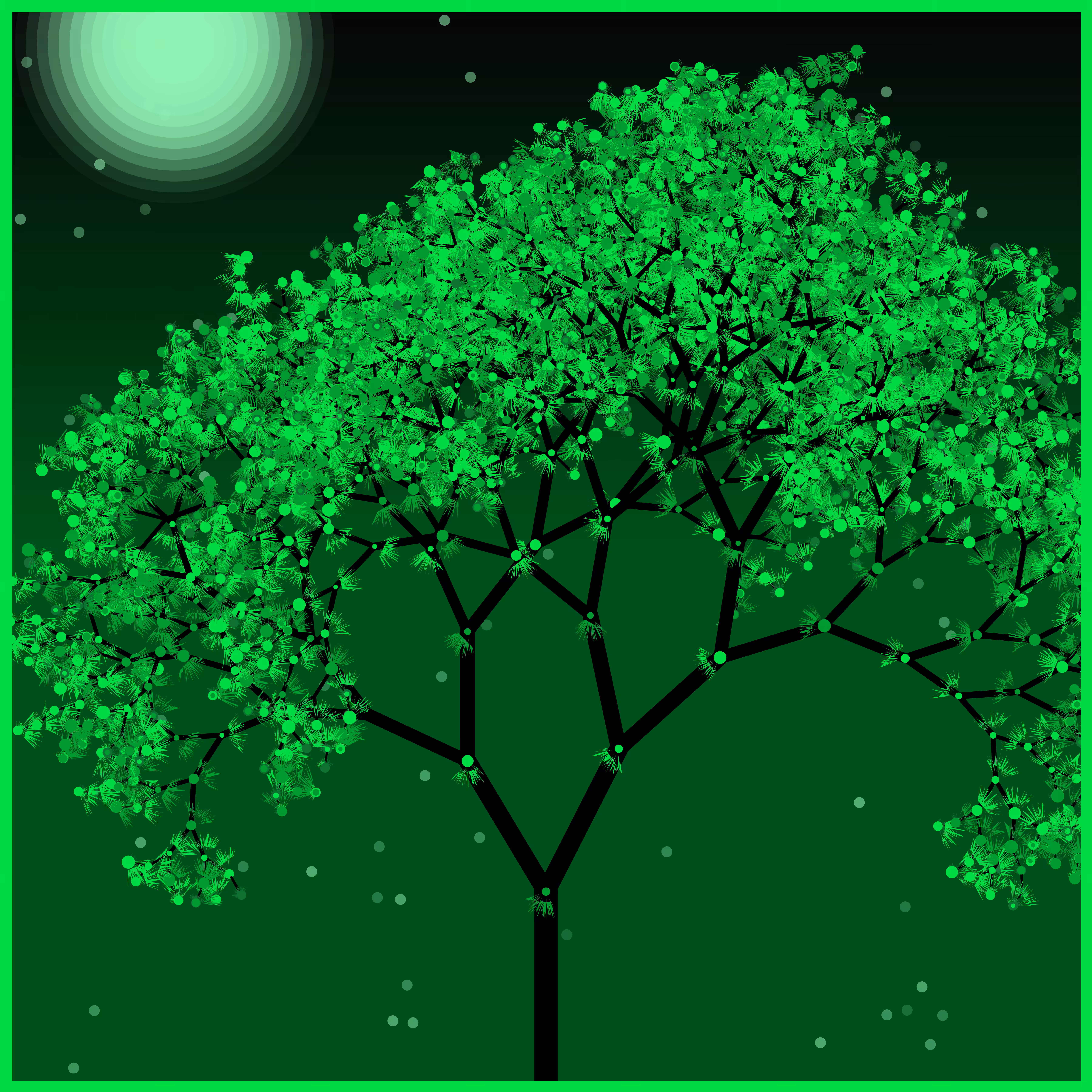 Forest #3