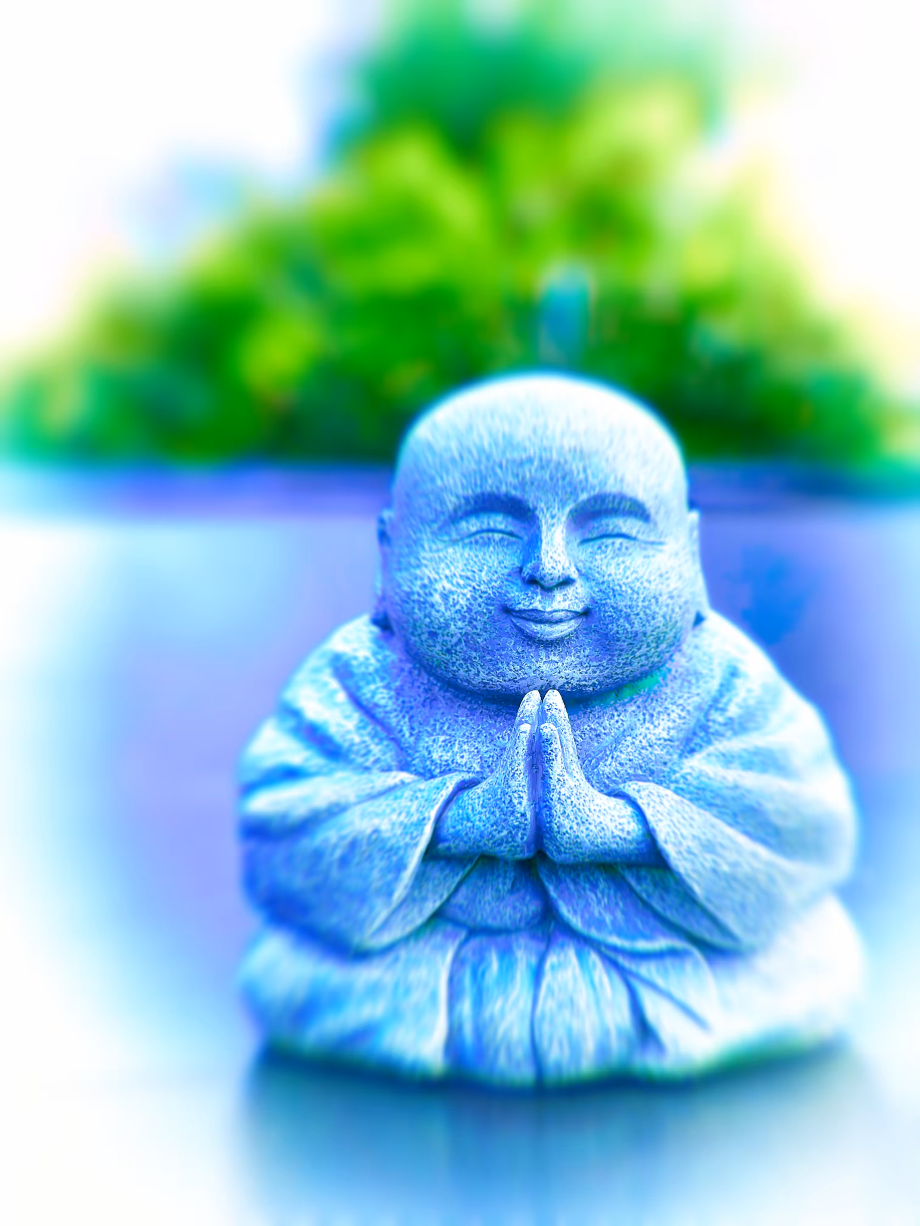 Trippy Buddha 11