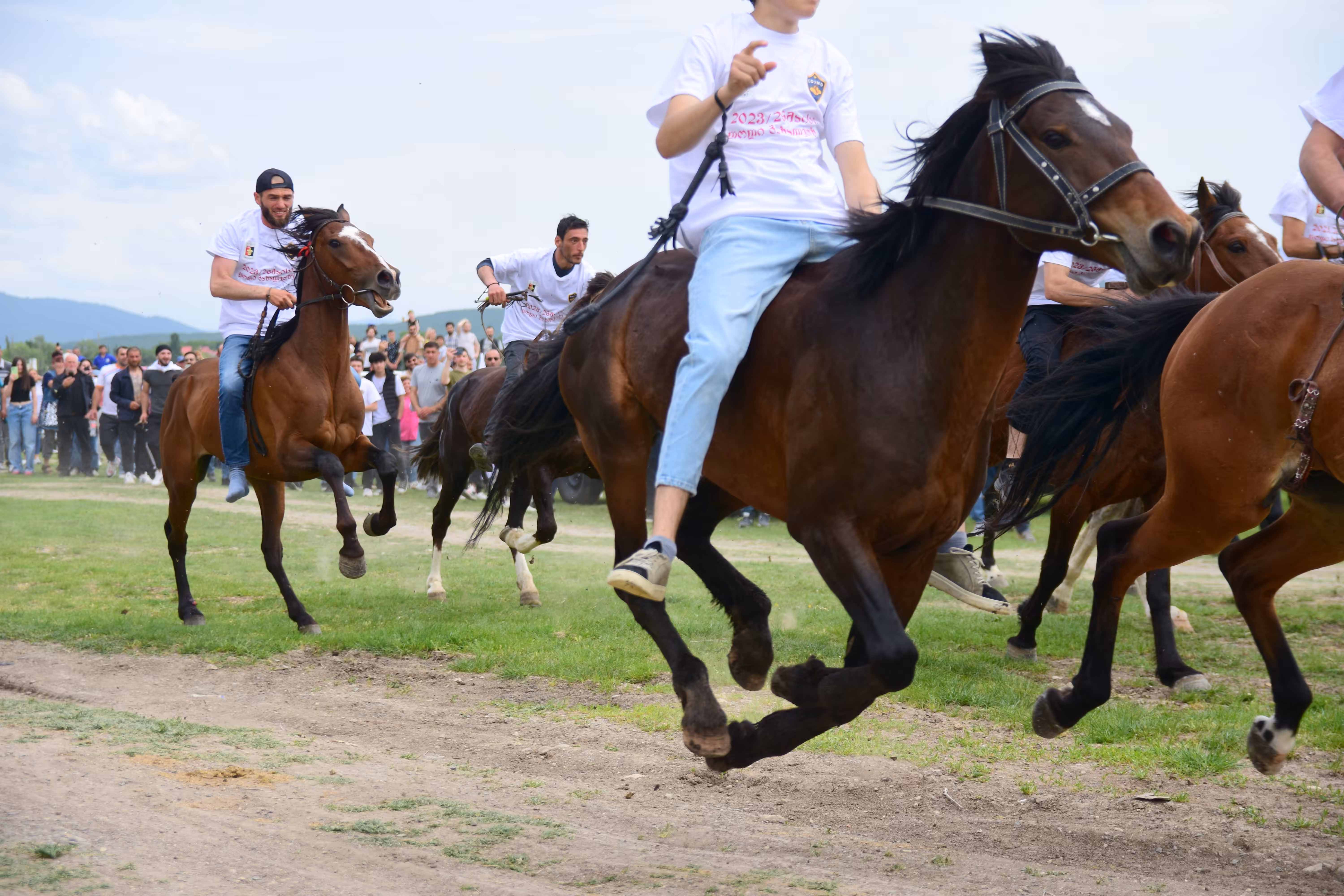 Horse Race 7