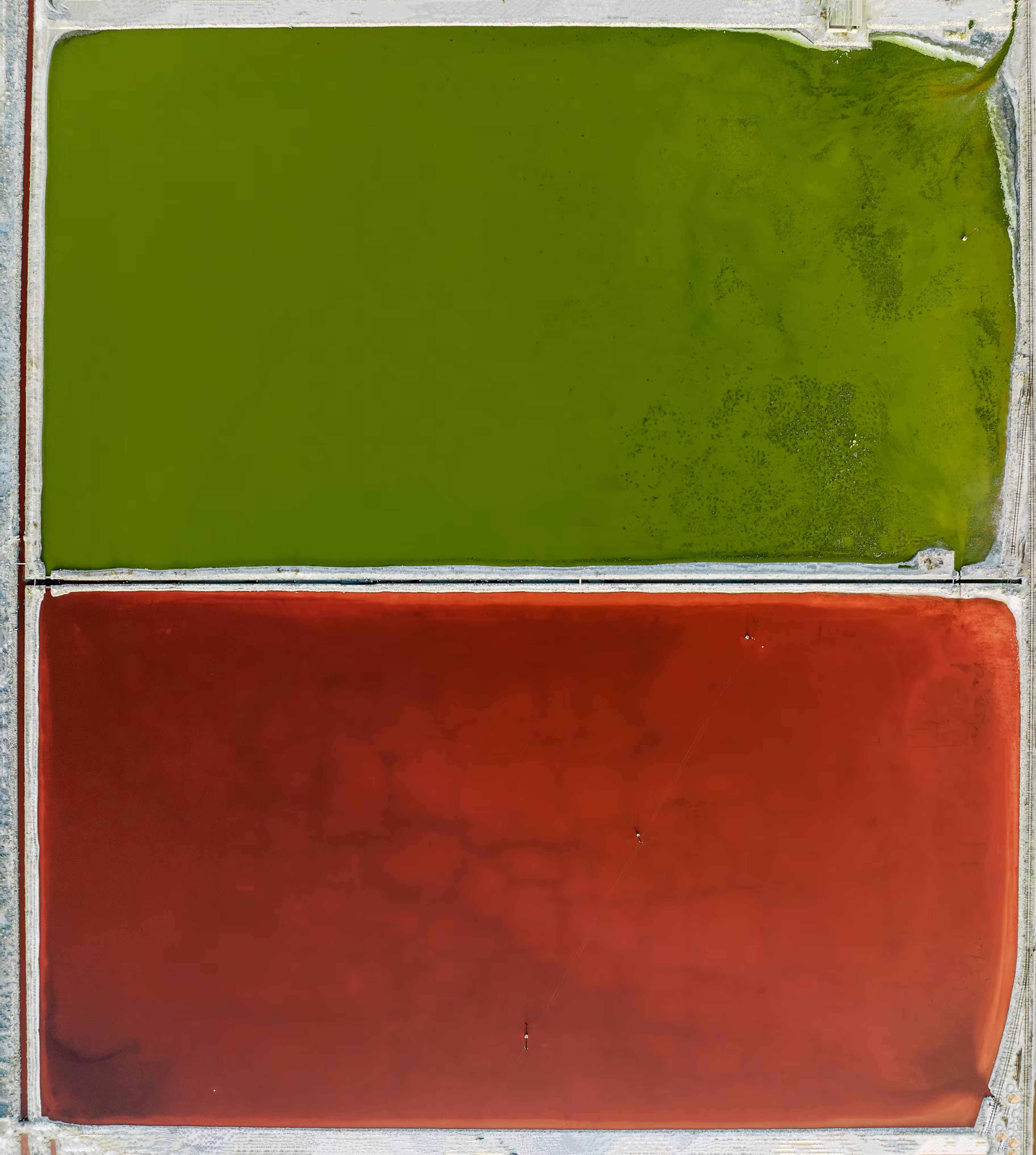 No. 2 (Green and Red)