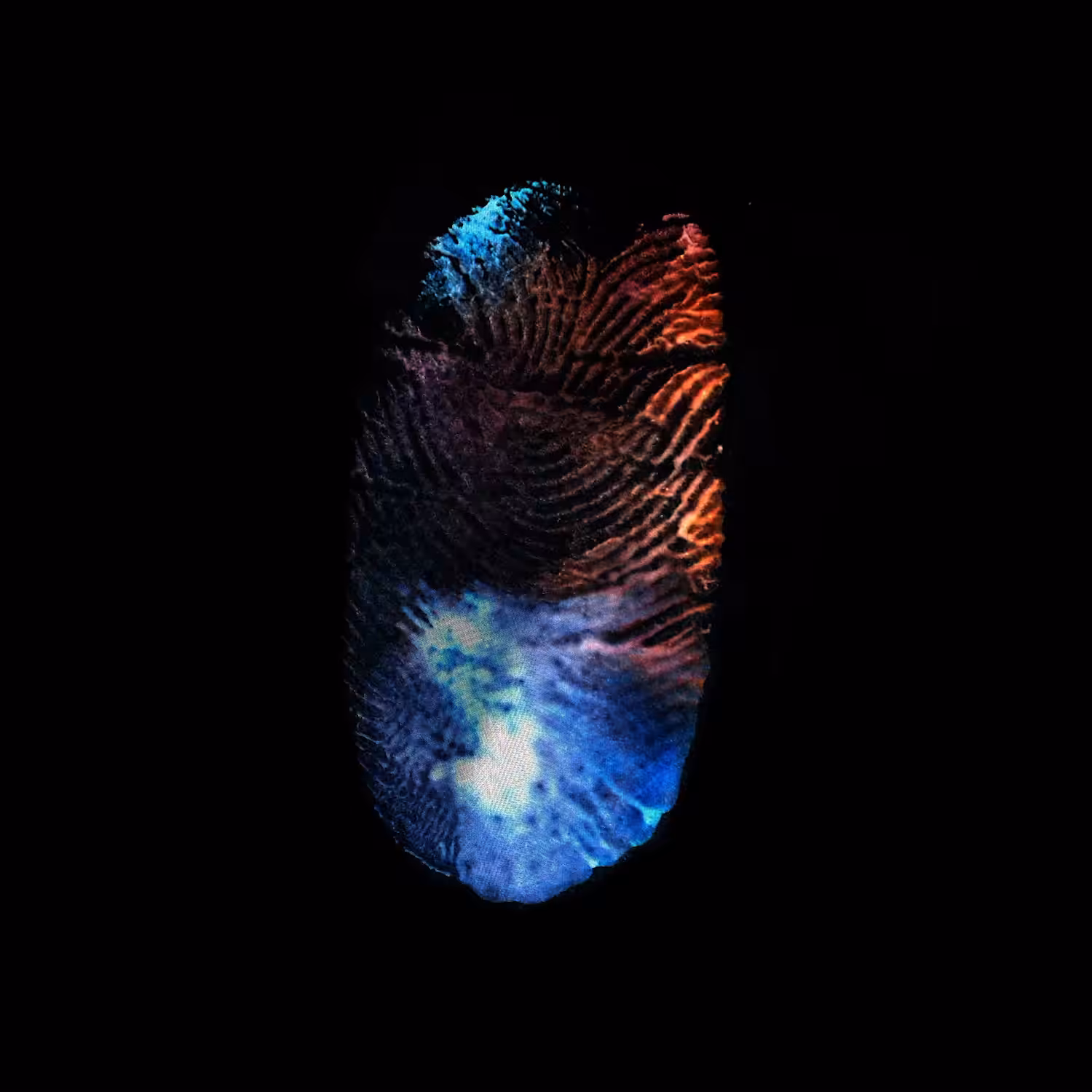 Touch L