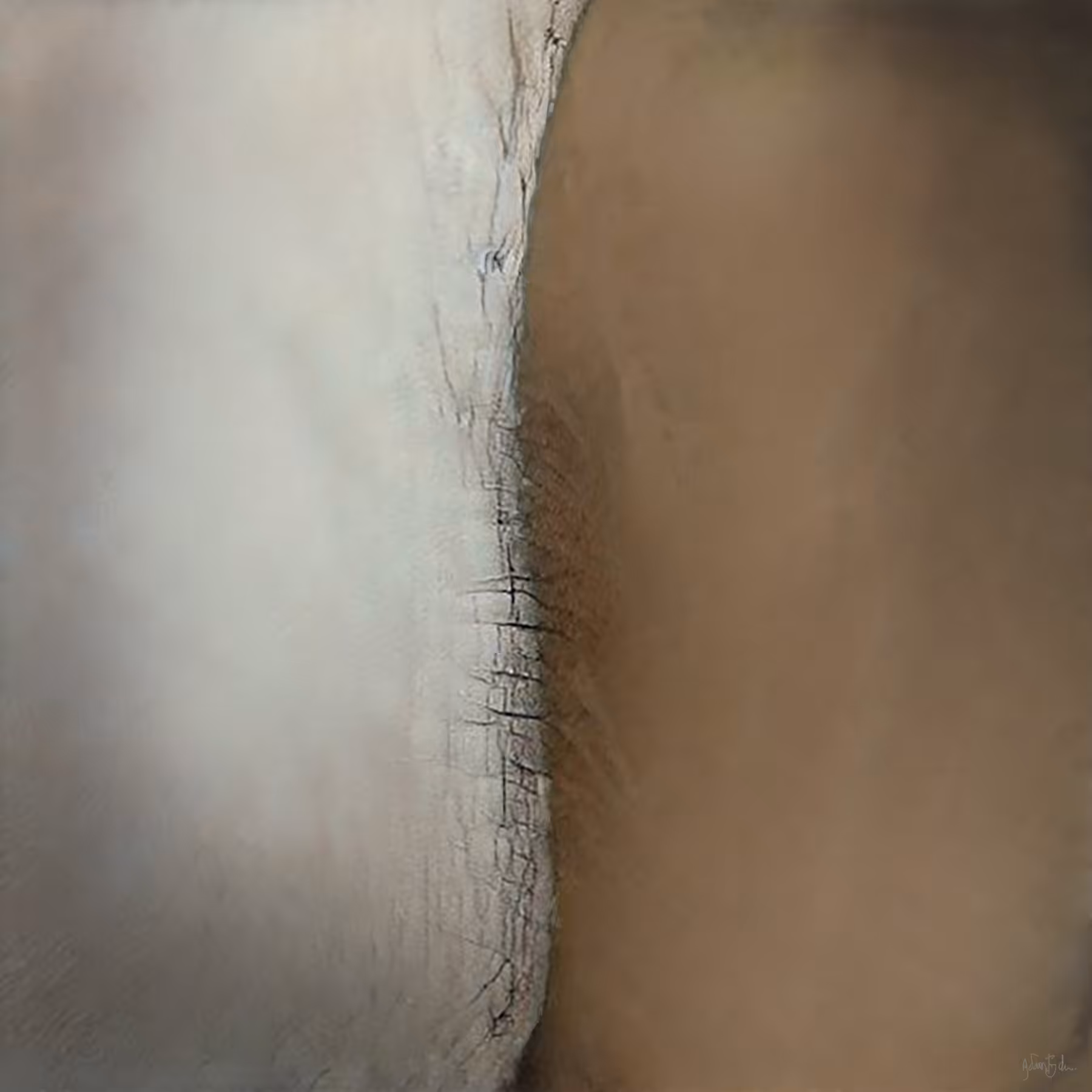 Two deserts