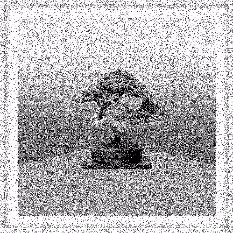 Bonsai Bonanza #414