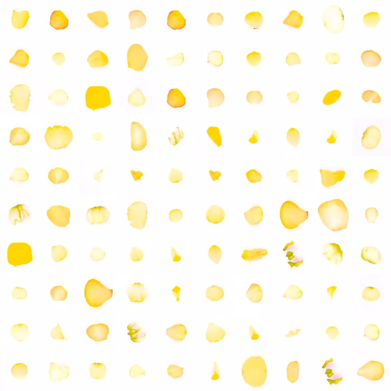 Infinite Petals 10x10#283