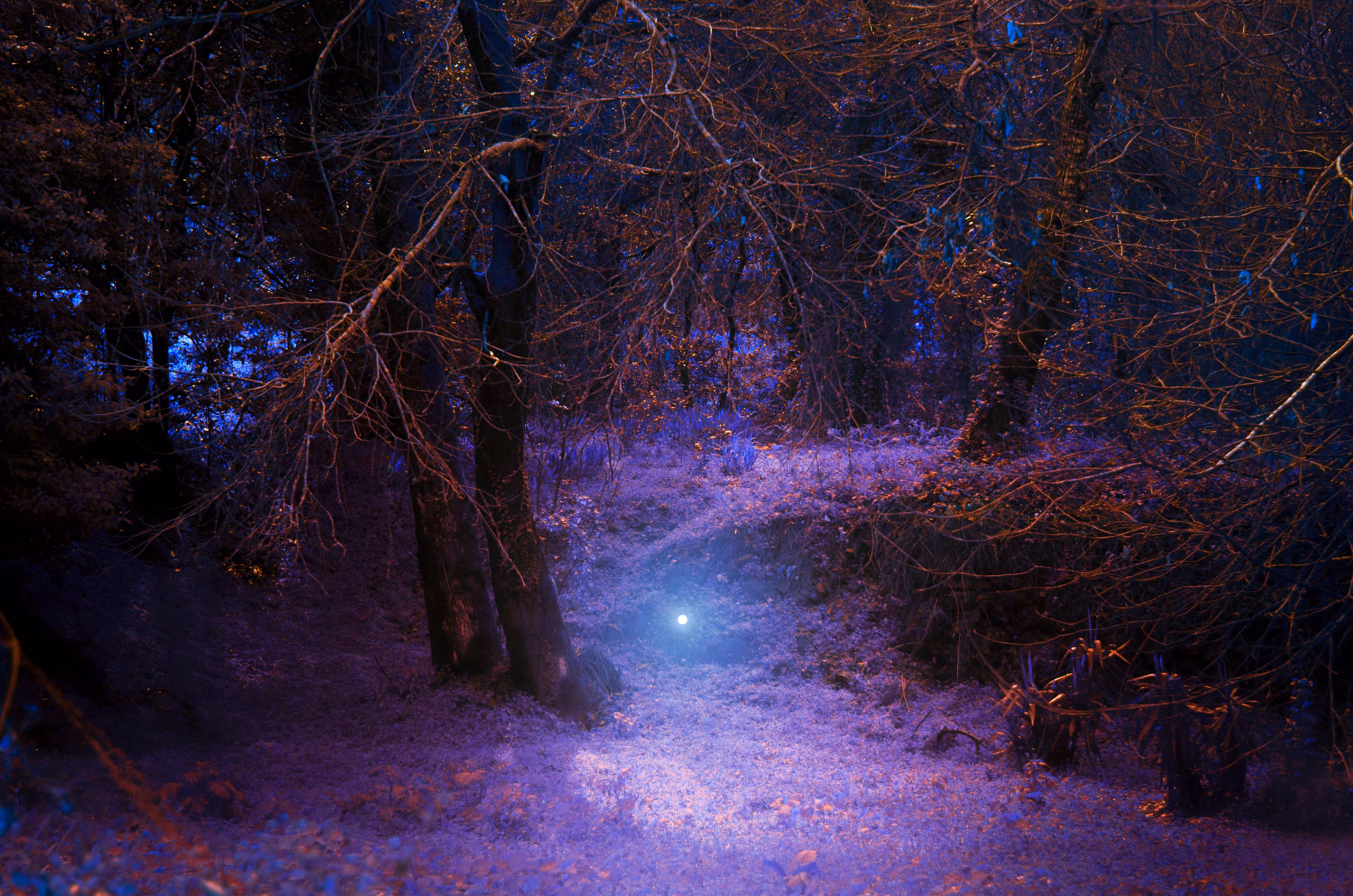 Another World