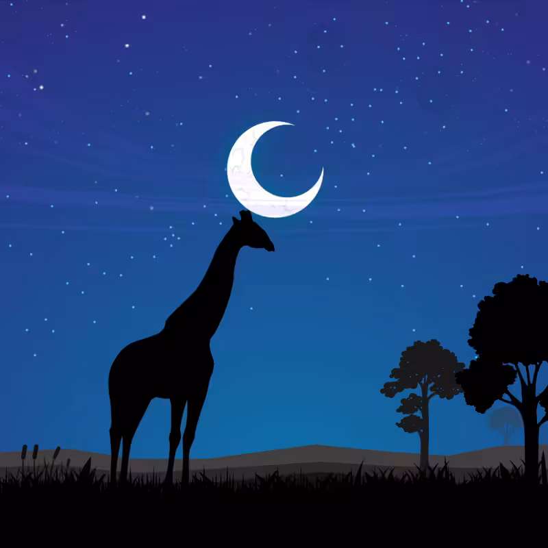 We Care... Giraffe #5