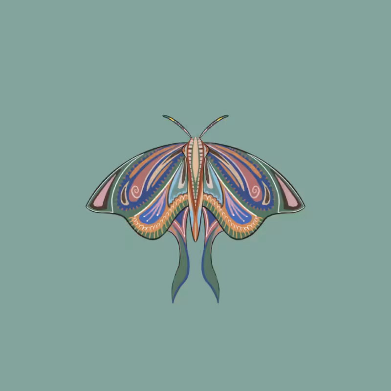 The Moth Experiment 2.0 P2 #8