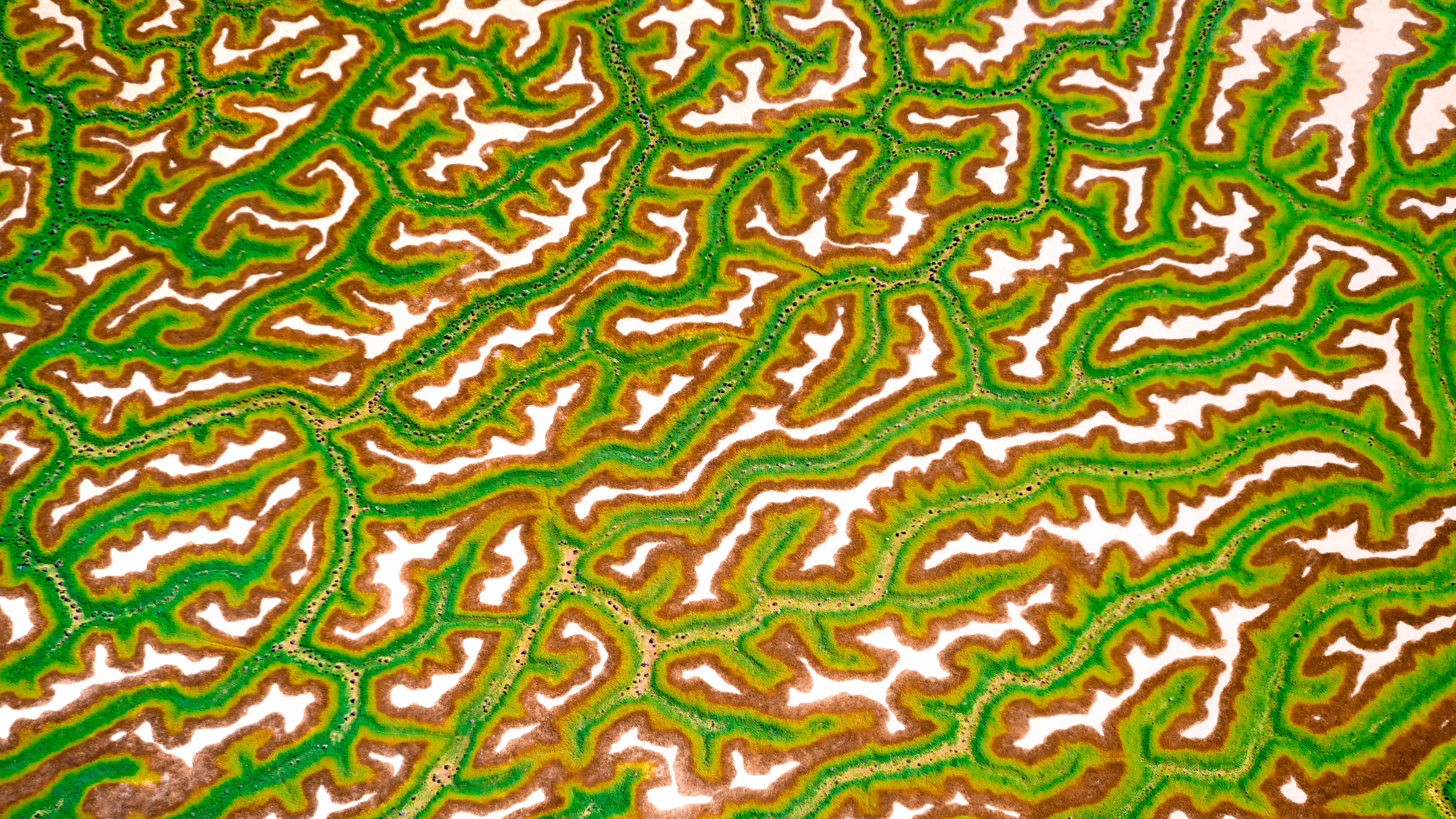 Back Channels of Australia