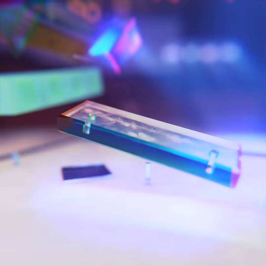 Caustics
