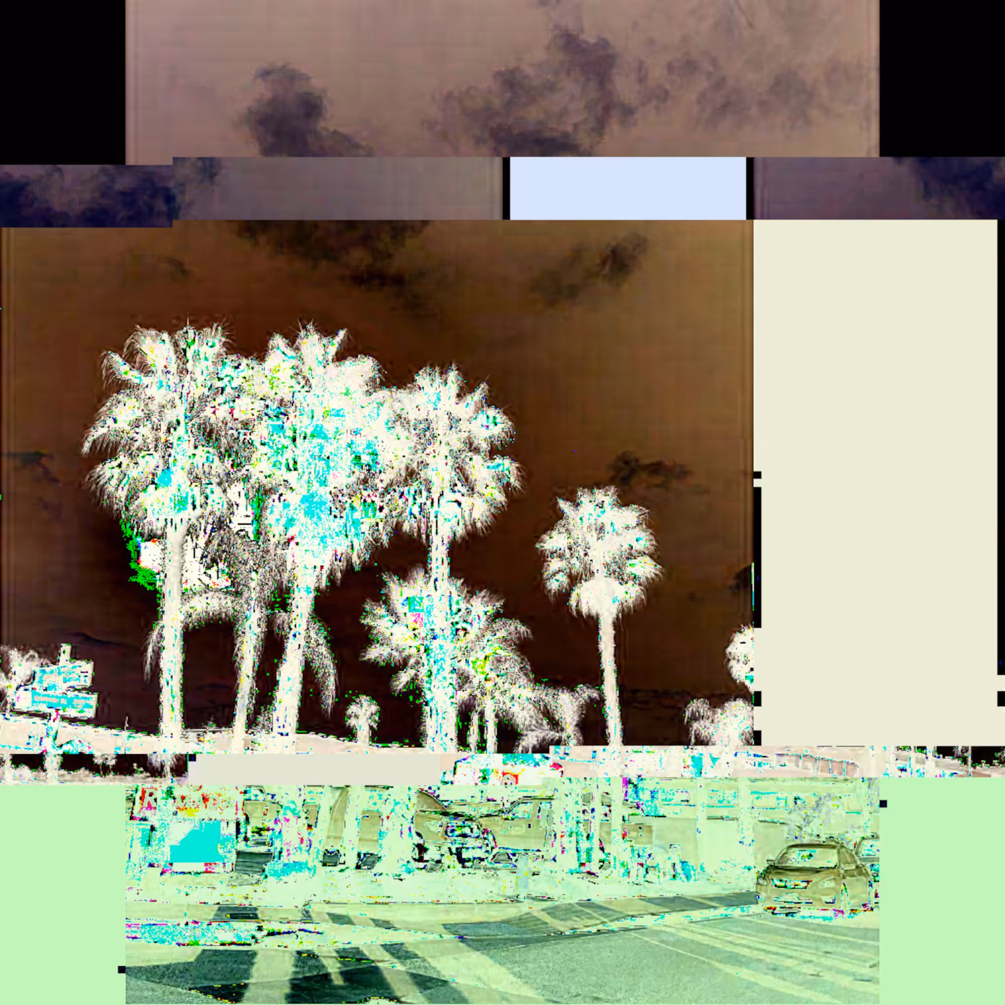 Palm Shift 4