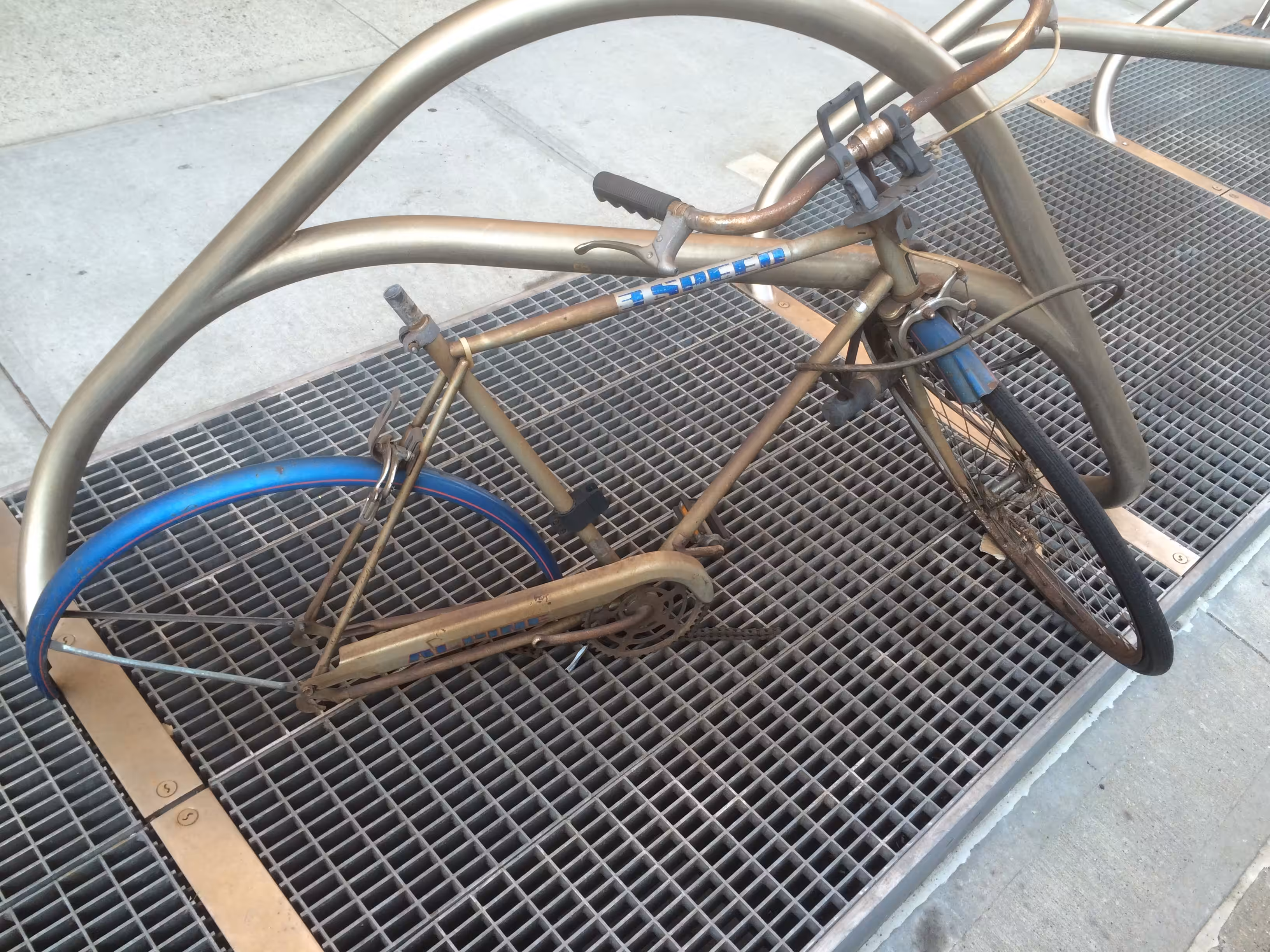 Bike#19