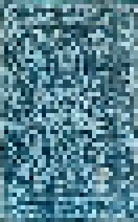 Rug #66
