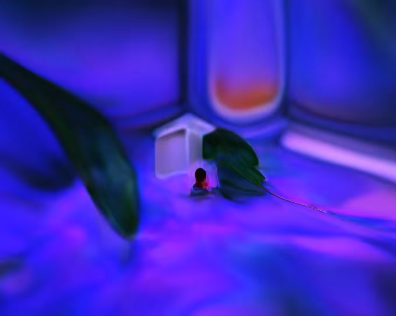 ISOLATED [DAO-The50]