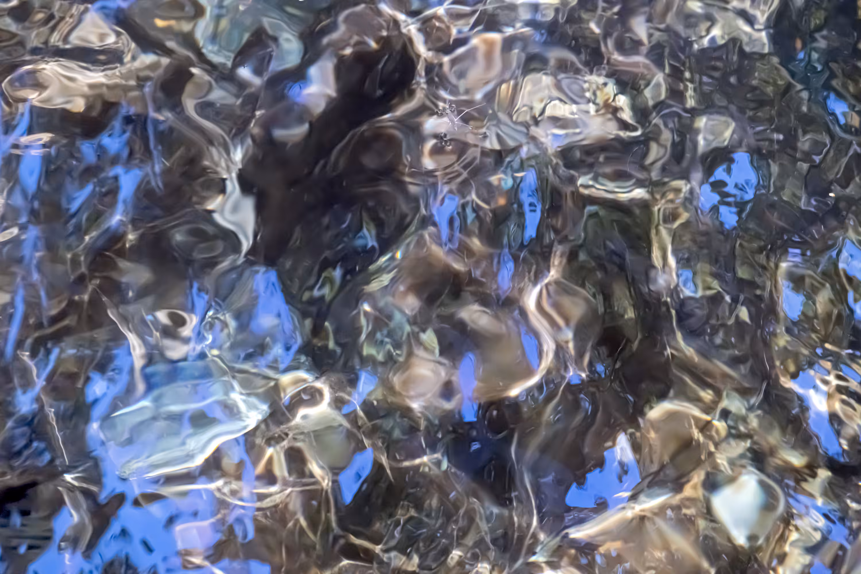 Ebb and Flow #25