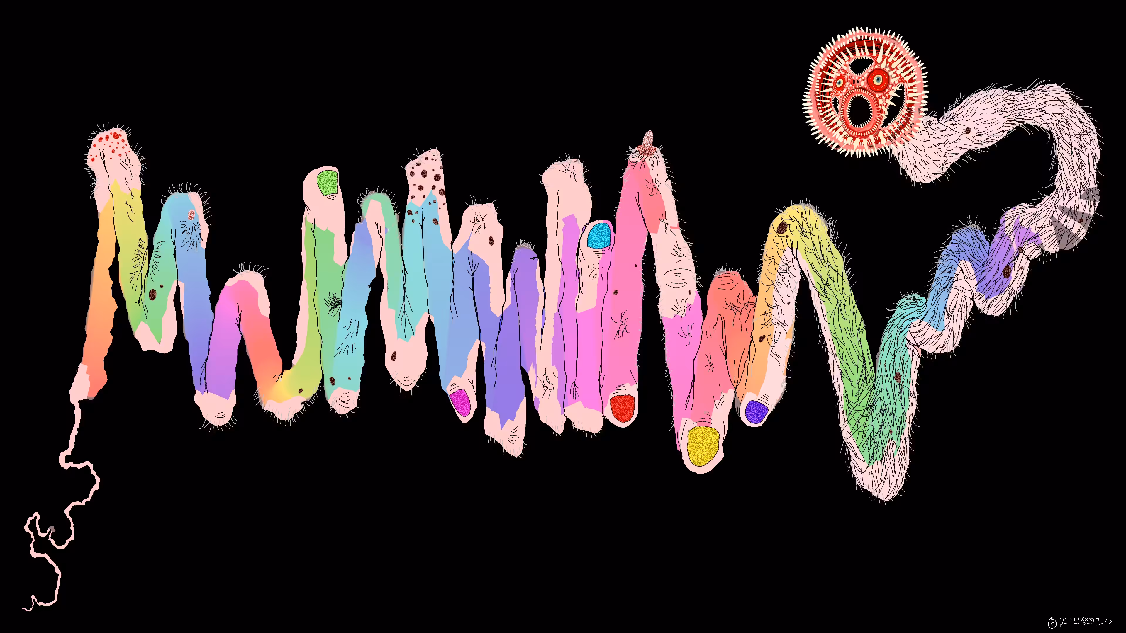 Chromie Tapeworm Micrograph <e>