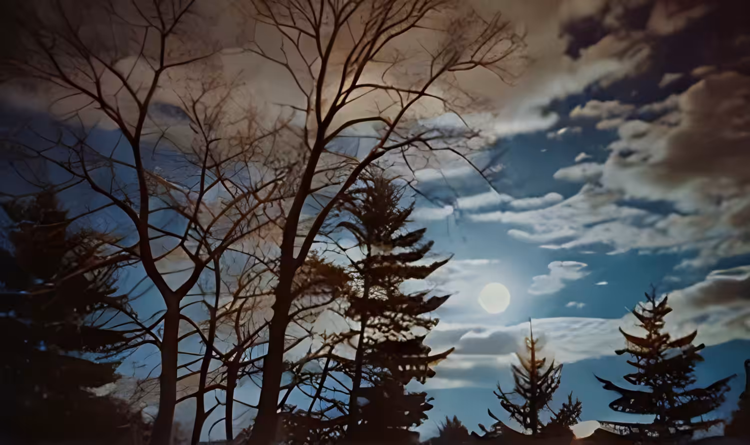 MoonRise2000