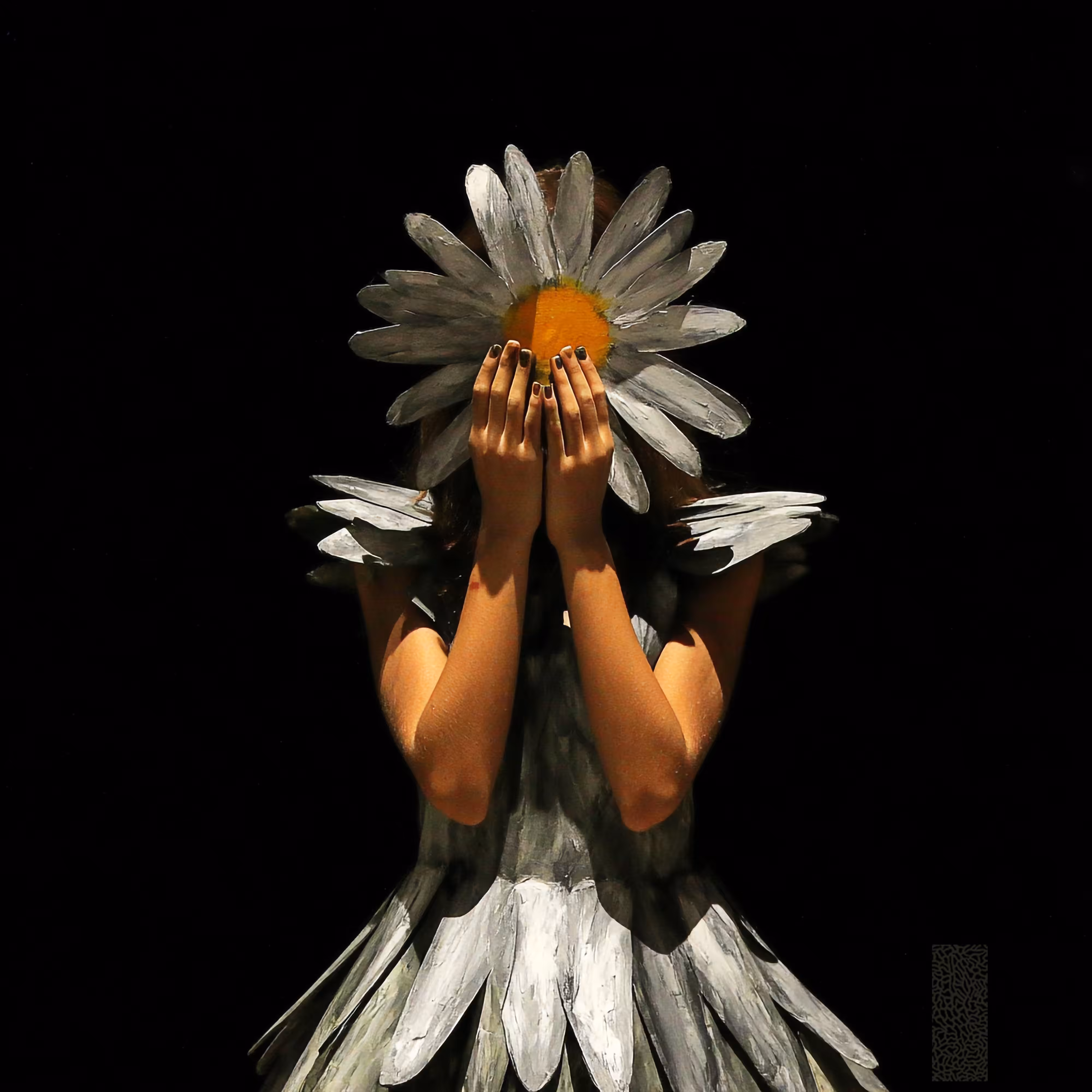 Day 91 - The daisy 