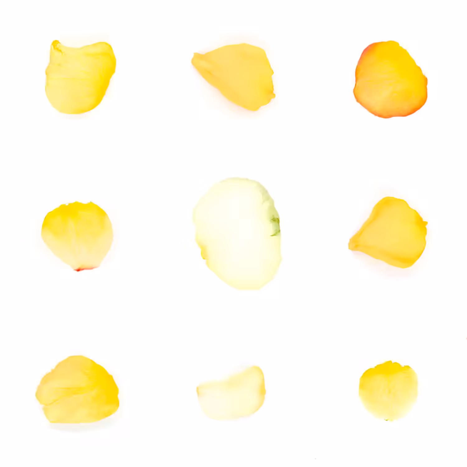 Infinite Petals 3x3#1062