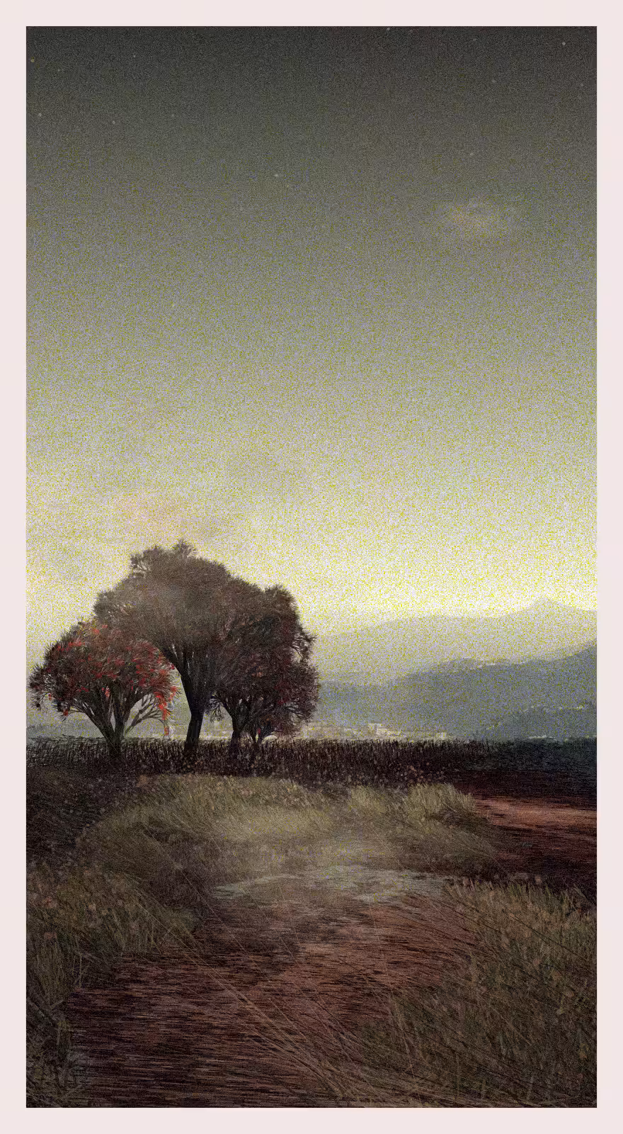 QTNN: Ledina #248