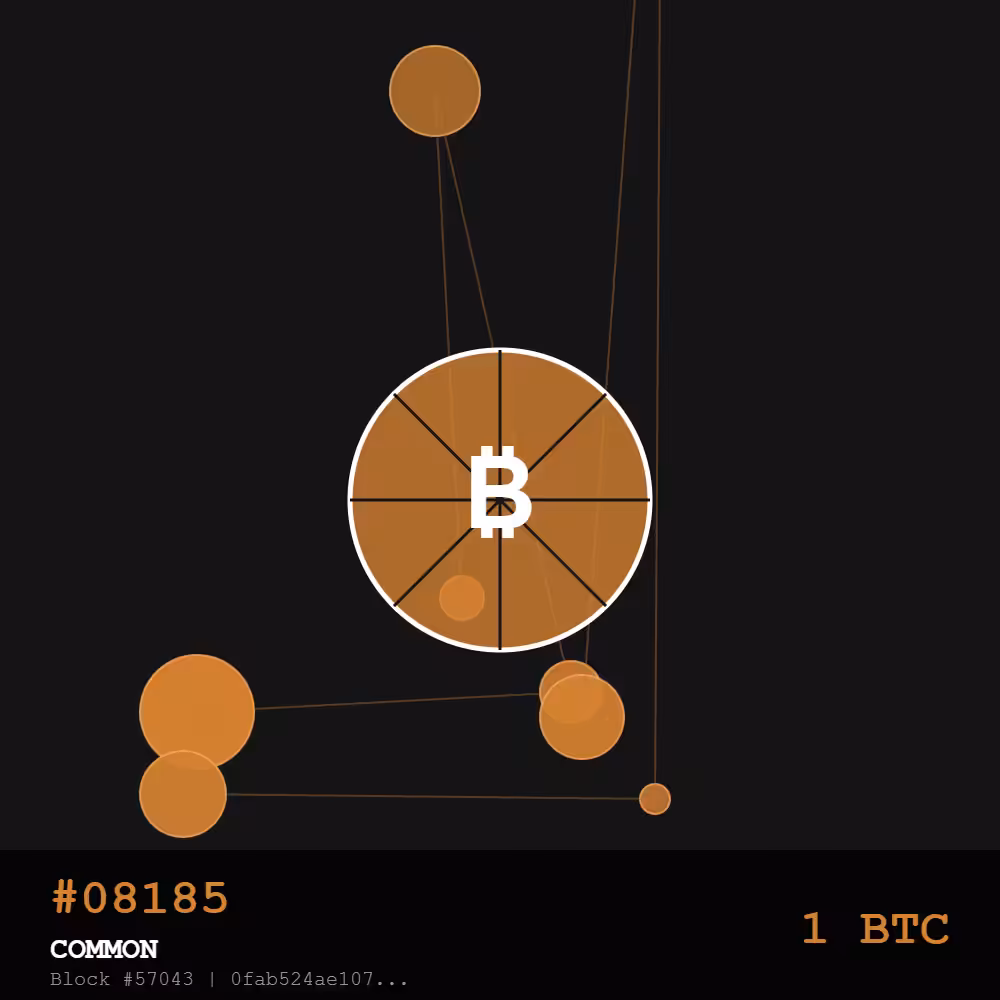 Bitcoin Pizza Genesis: 10K — COMMON Edition | May 22, 2010 - The Day Everything Changed