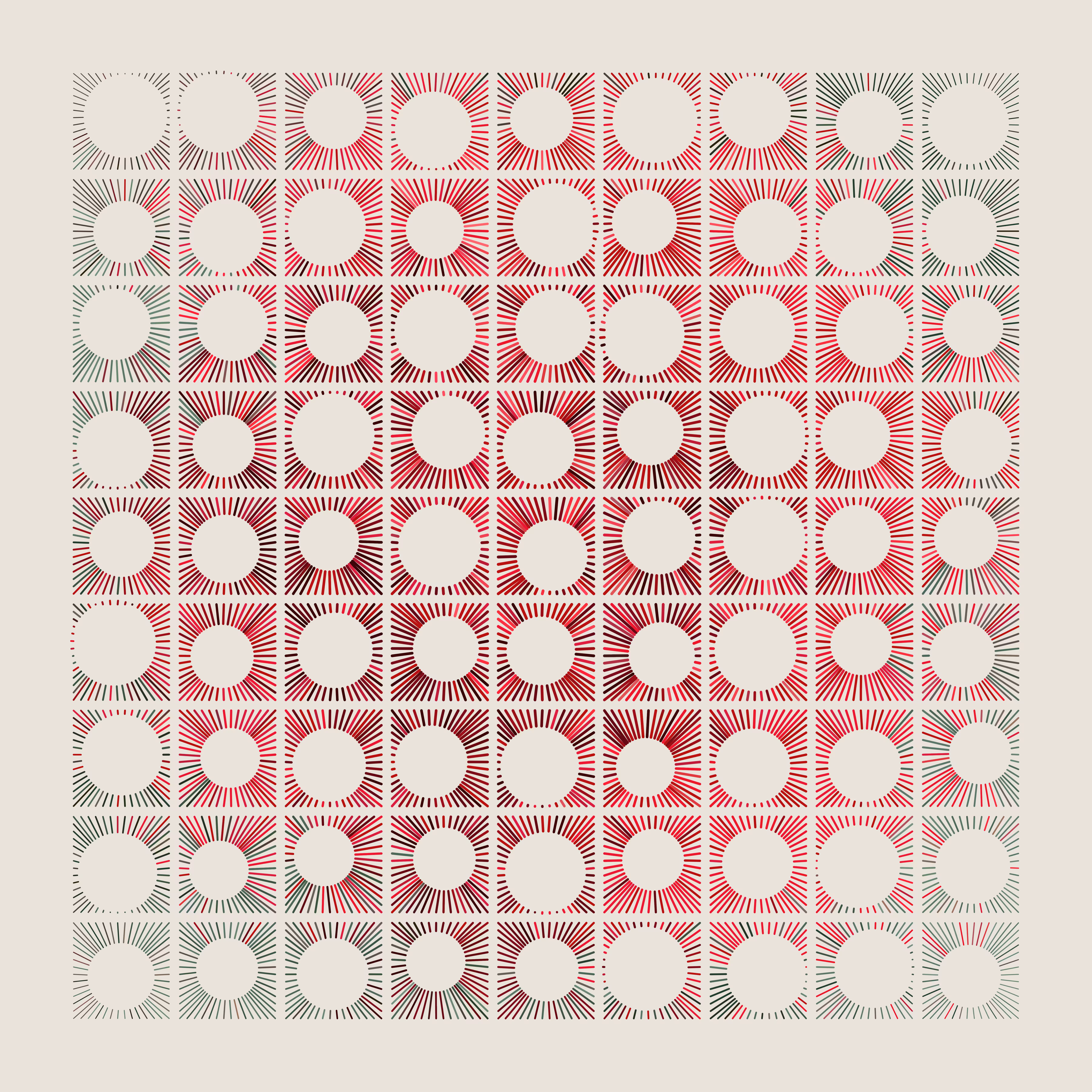 no.circles.rose