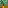 Plant#12?