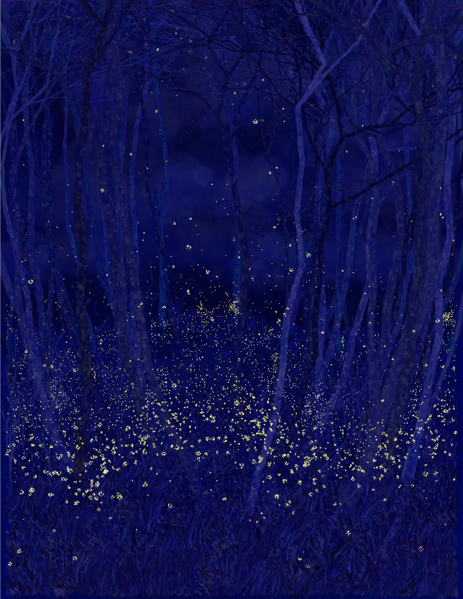 Deep Forest #4