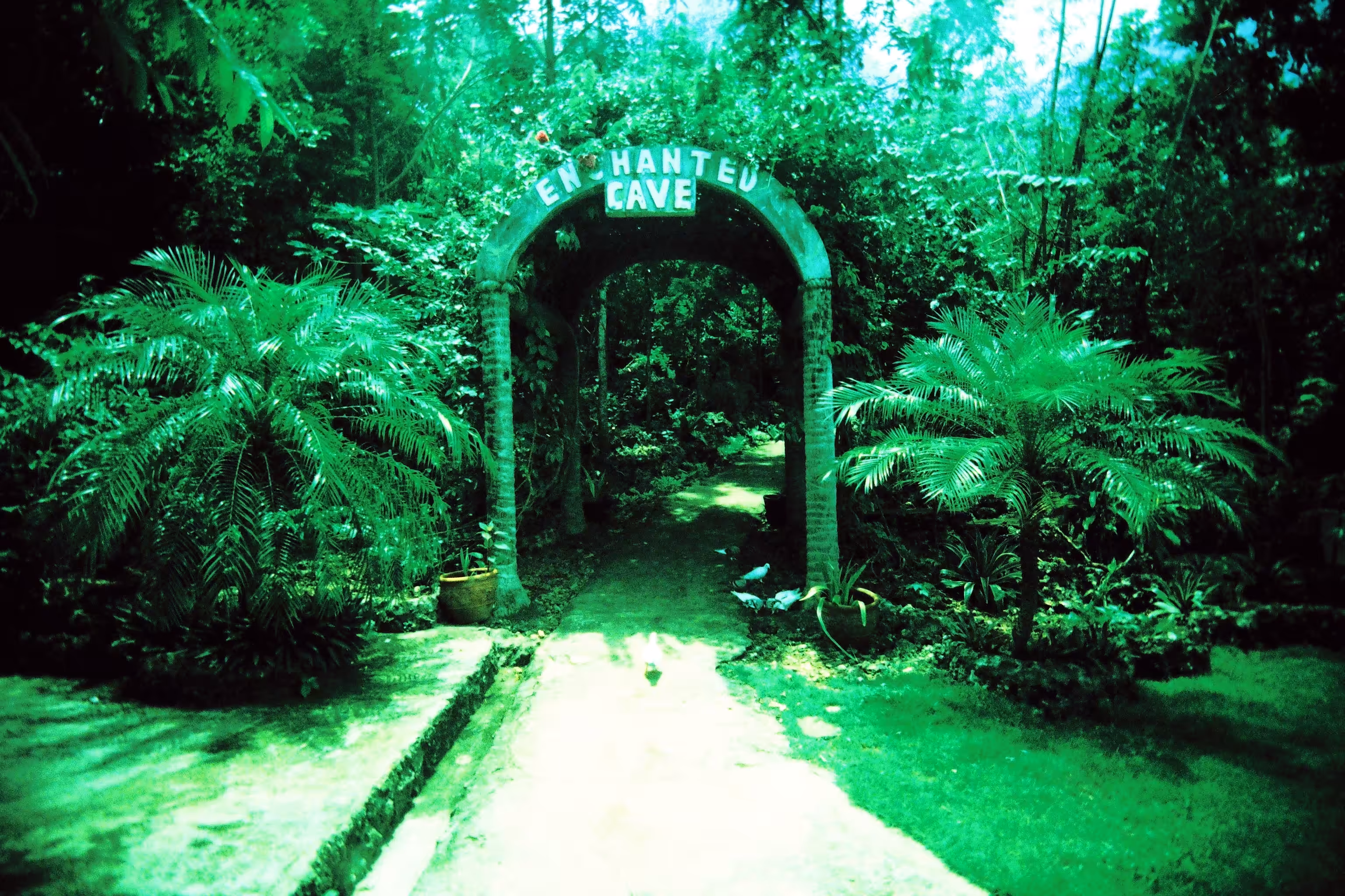 Enchanted Cave
