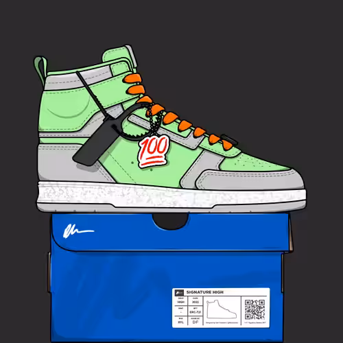 Signature Sneakers Highs #296