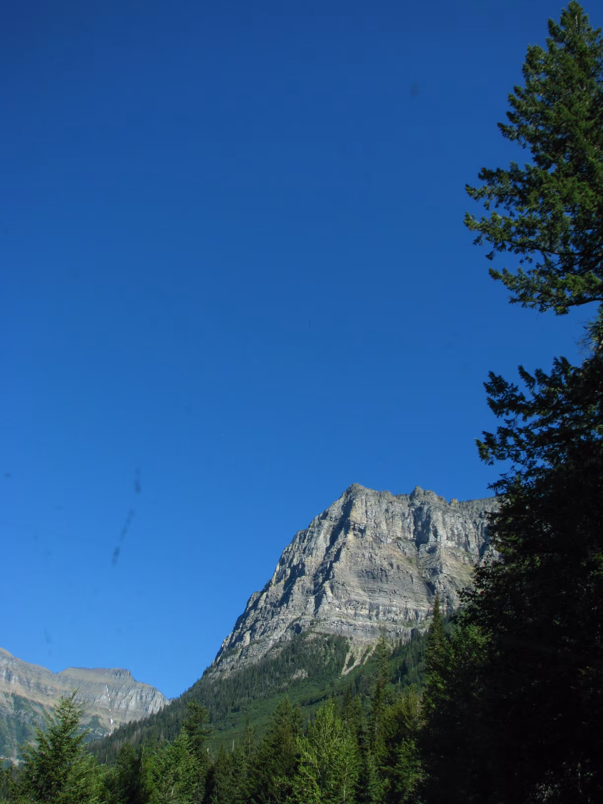 going-to-the-sun-road scenery in montana
