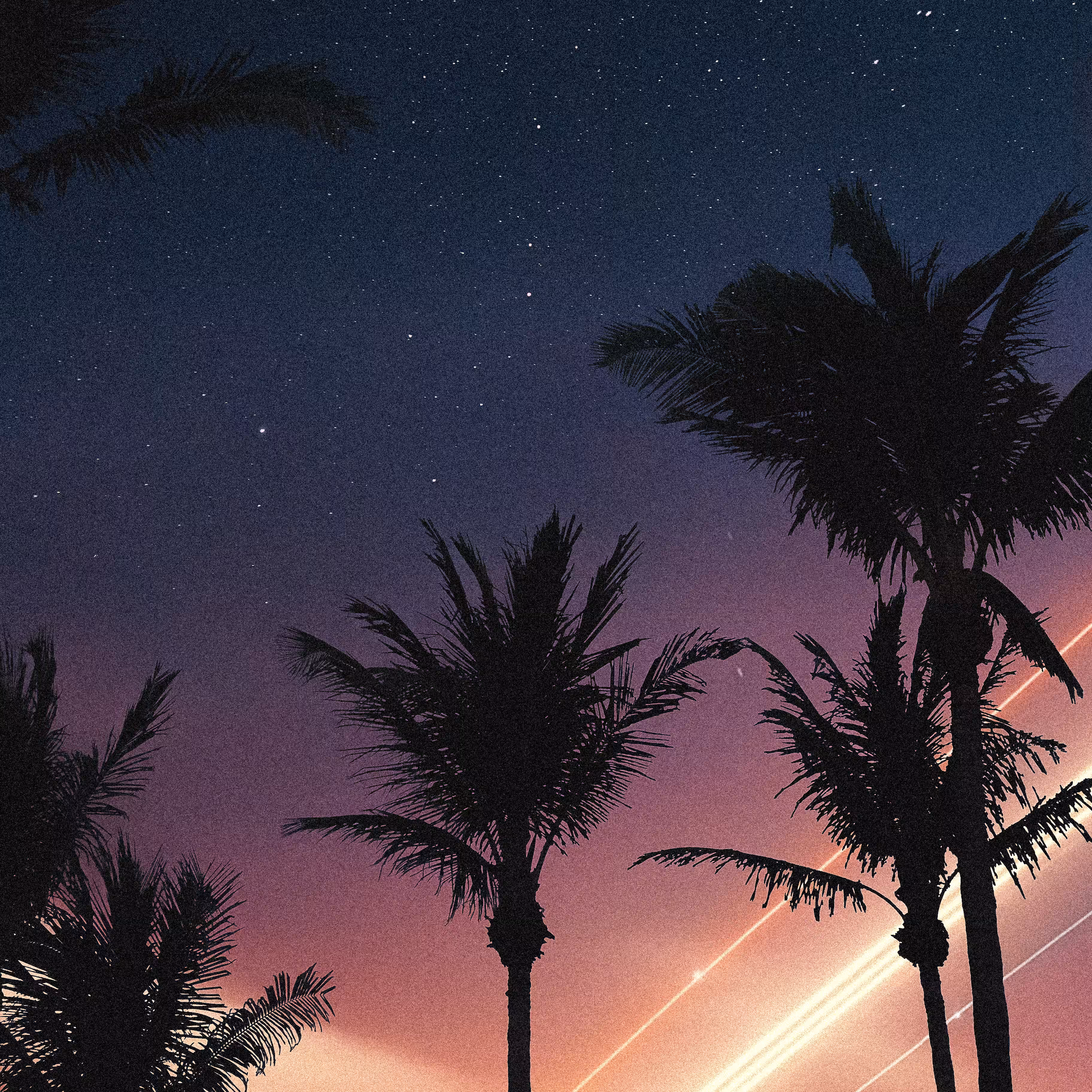 LATE NIGHTS IN MIAMI