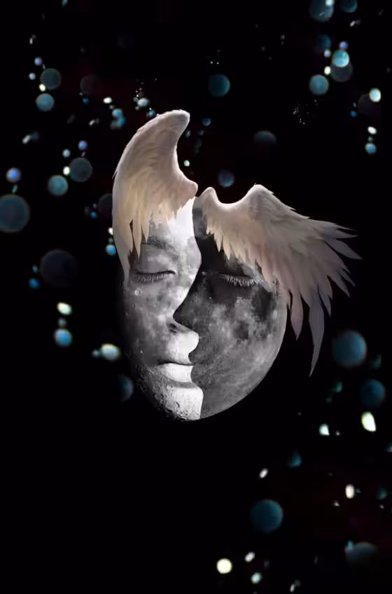 my night dream