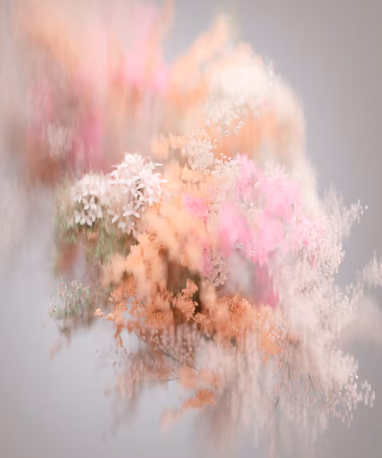 Pollen #41/193