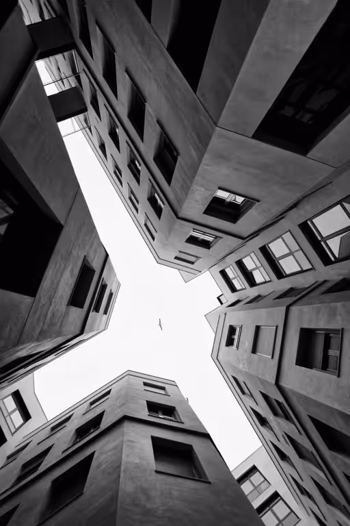 #34 Achromatic World | Freedom