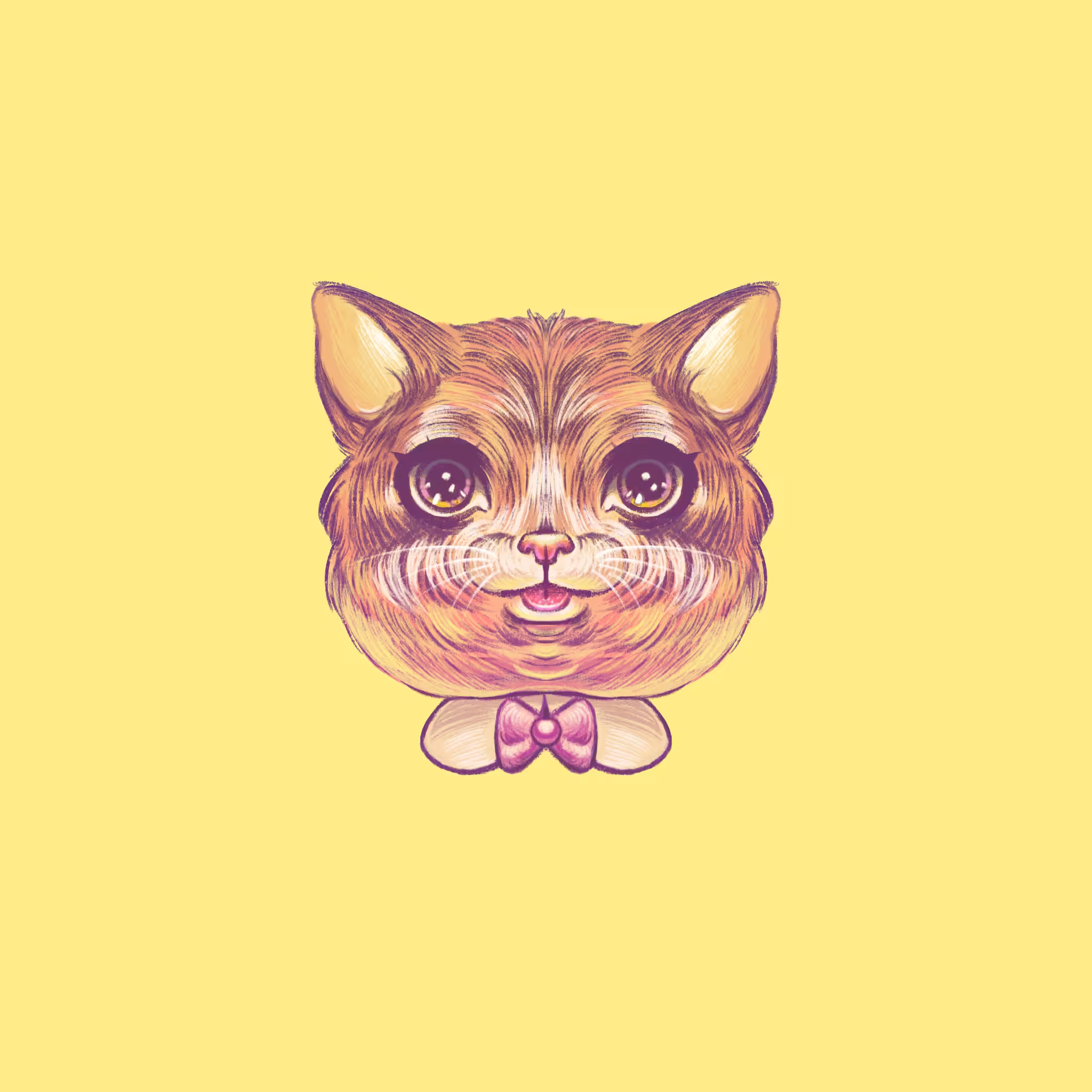Cat 006