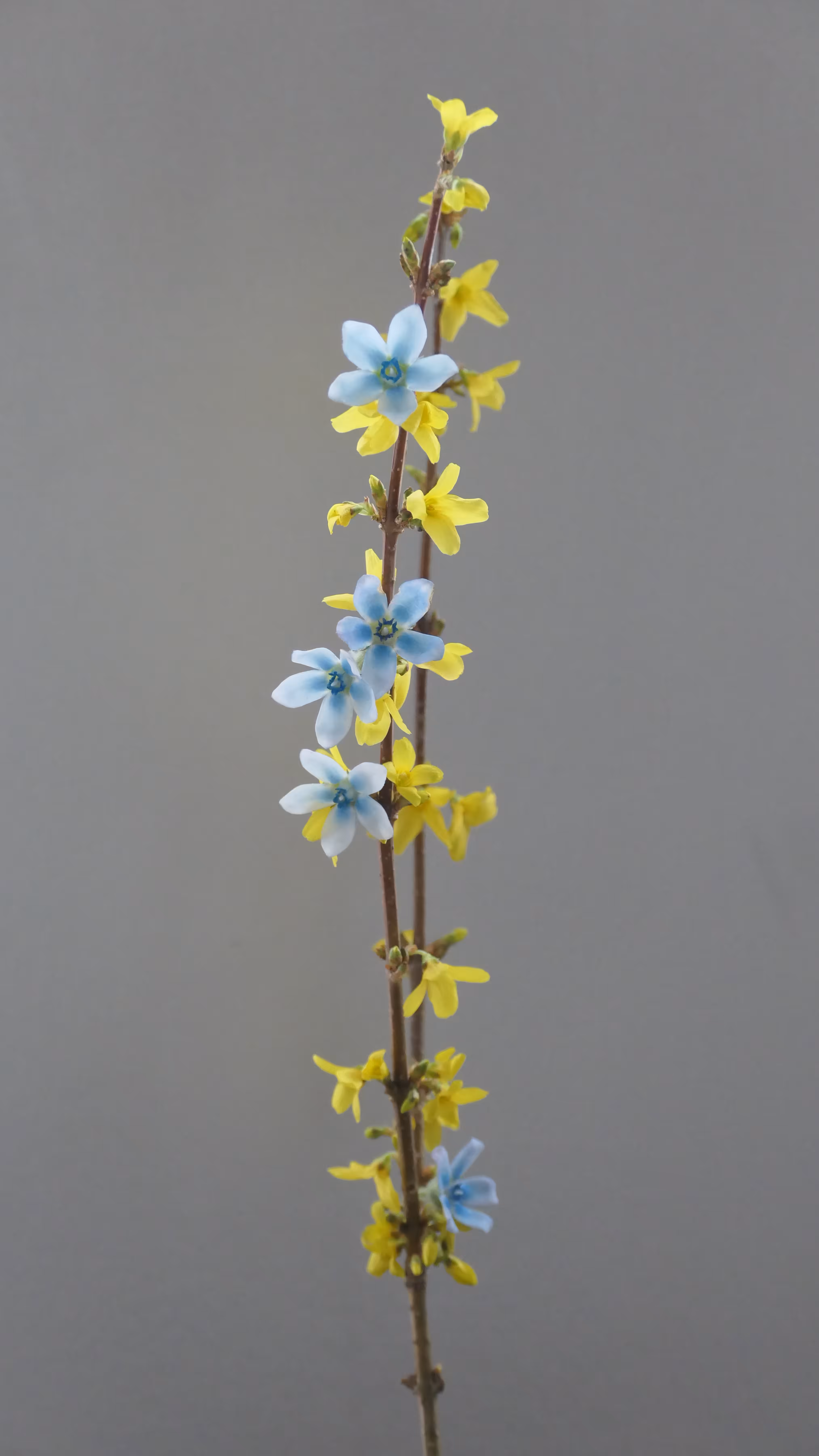 Ikebana