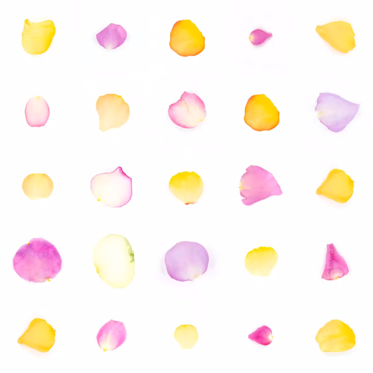 Infinite Petals 5x5#20396