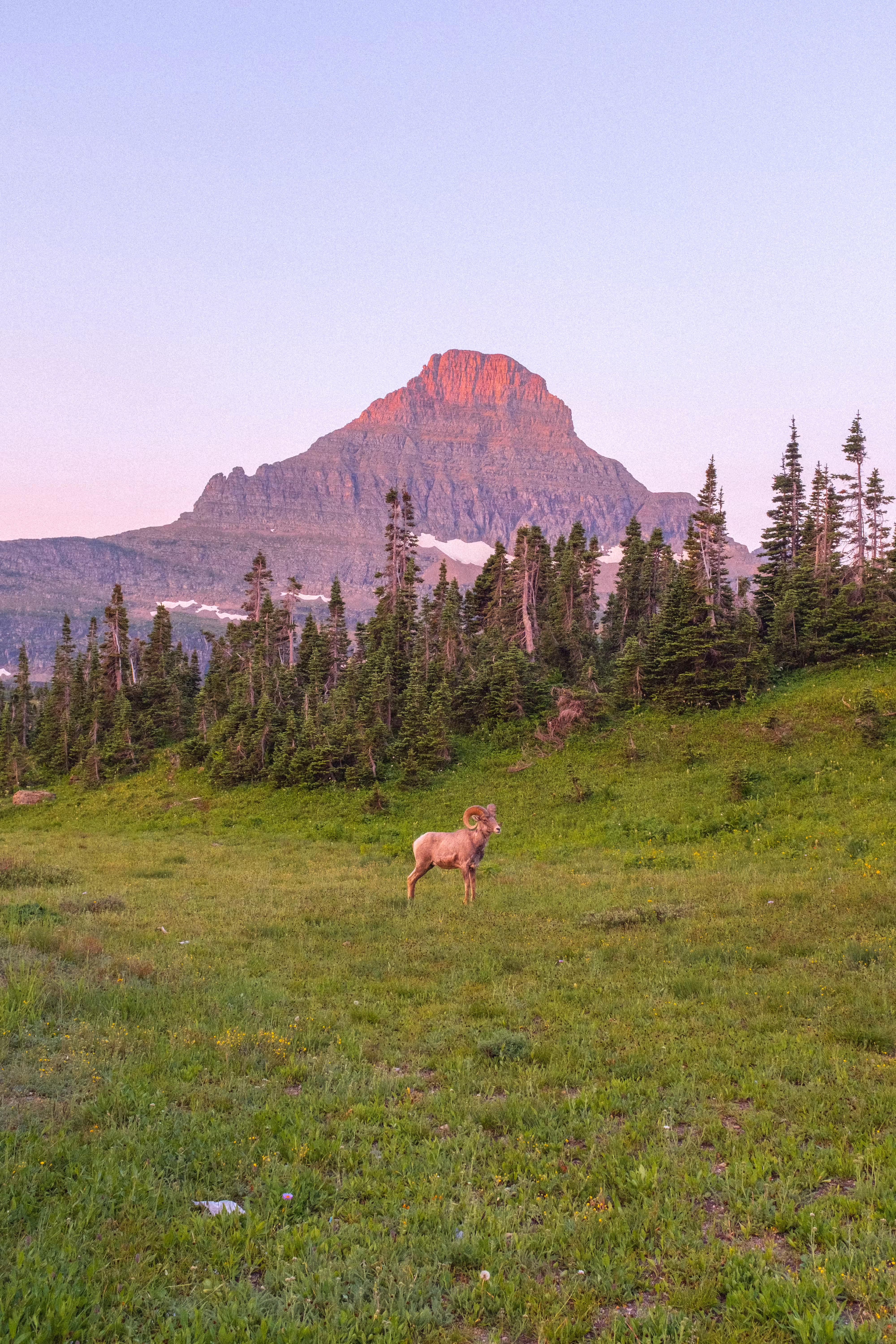 As the Mountains Wake