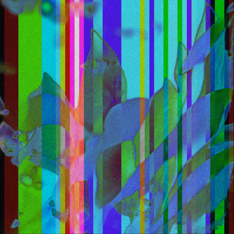 CLDCSMC #161