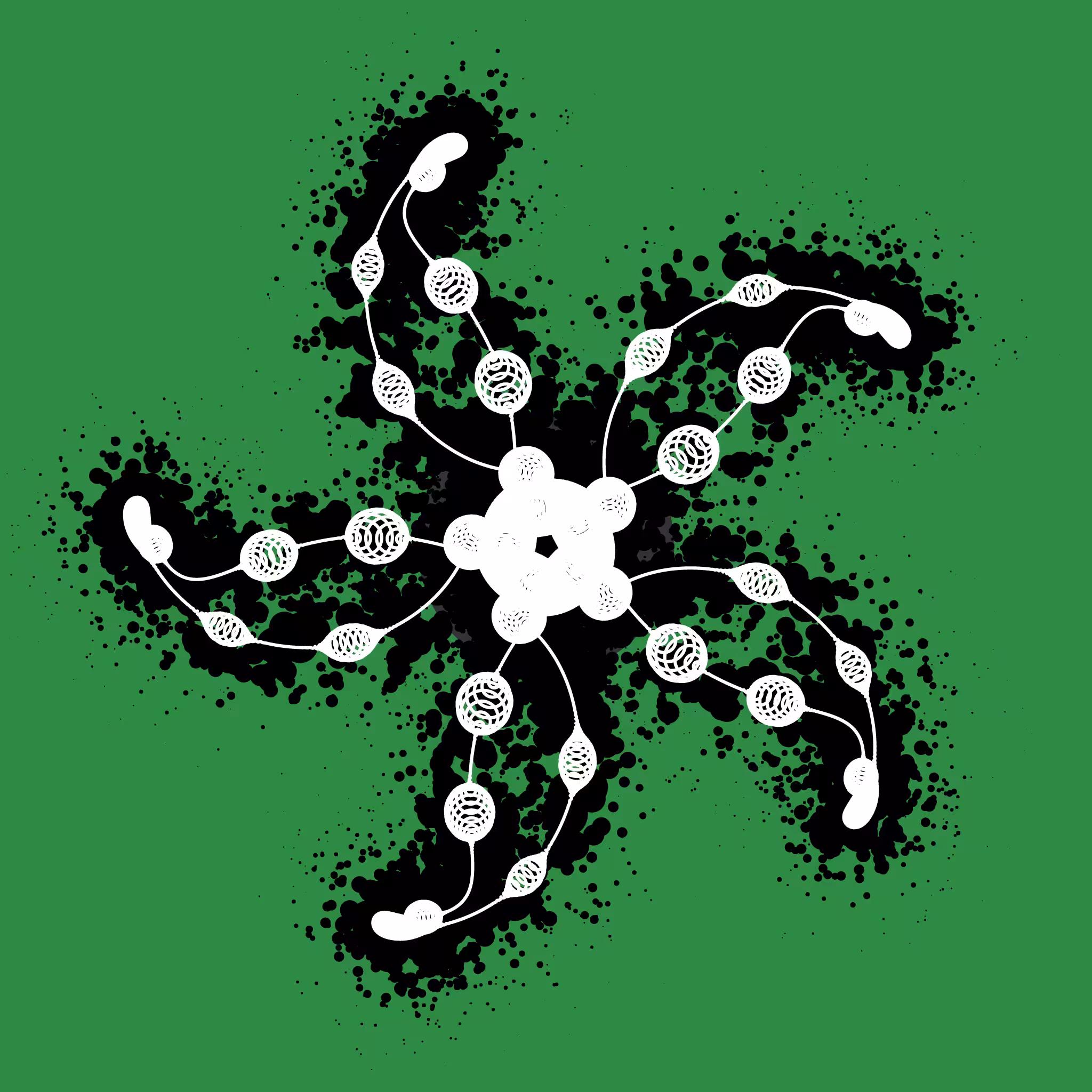 EPIHYPERDERPFLARDIOIDS #286