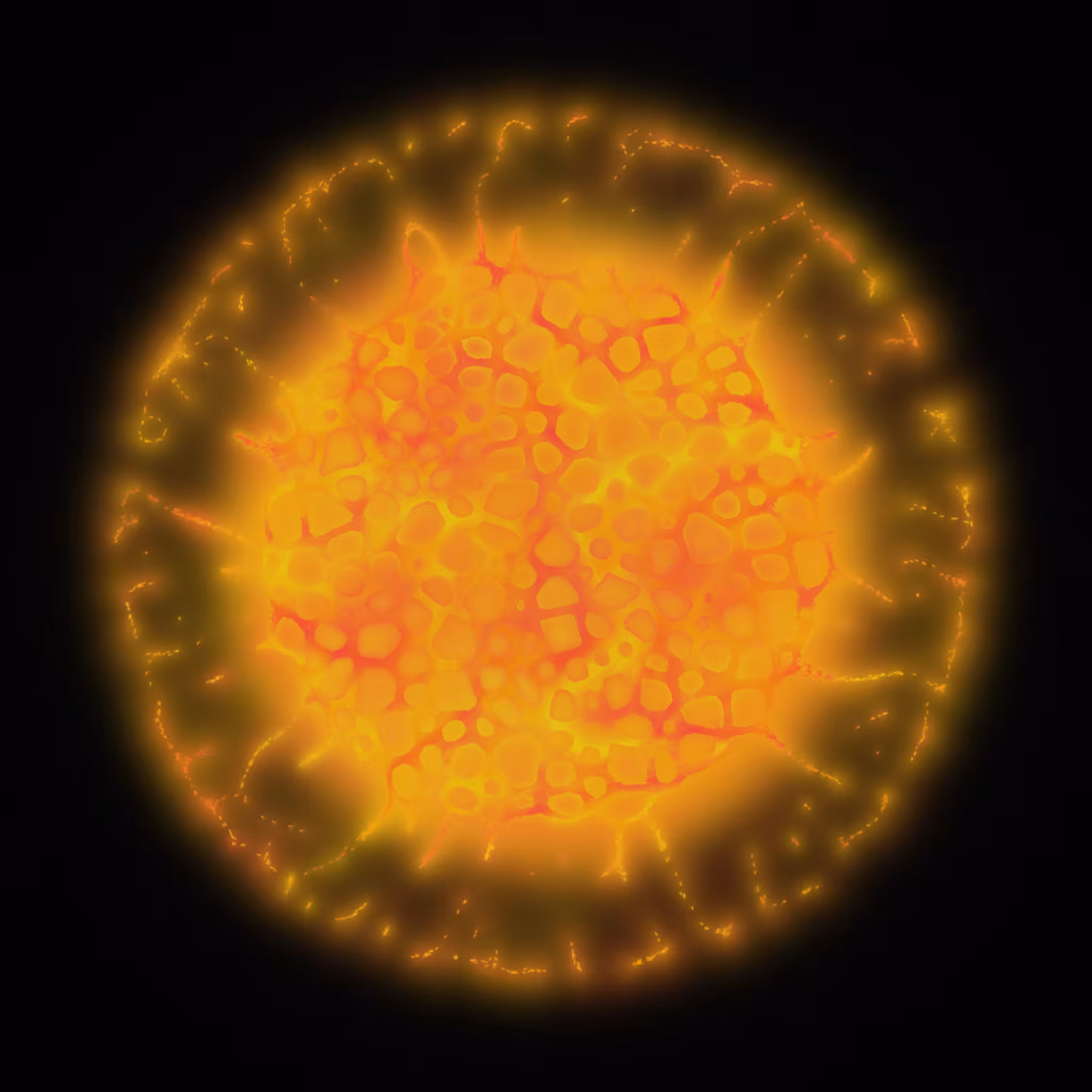 Agnoscopic #14