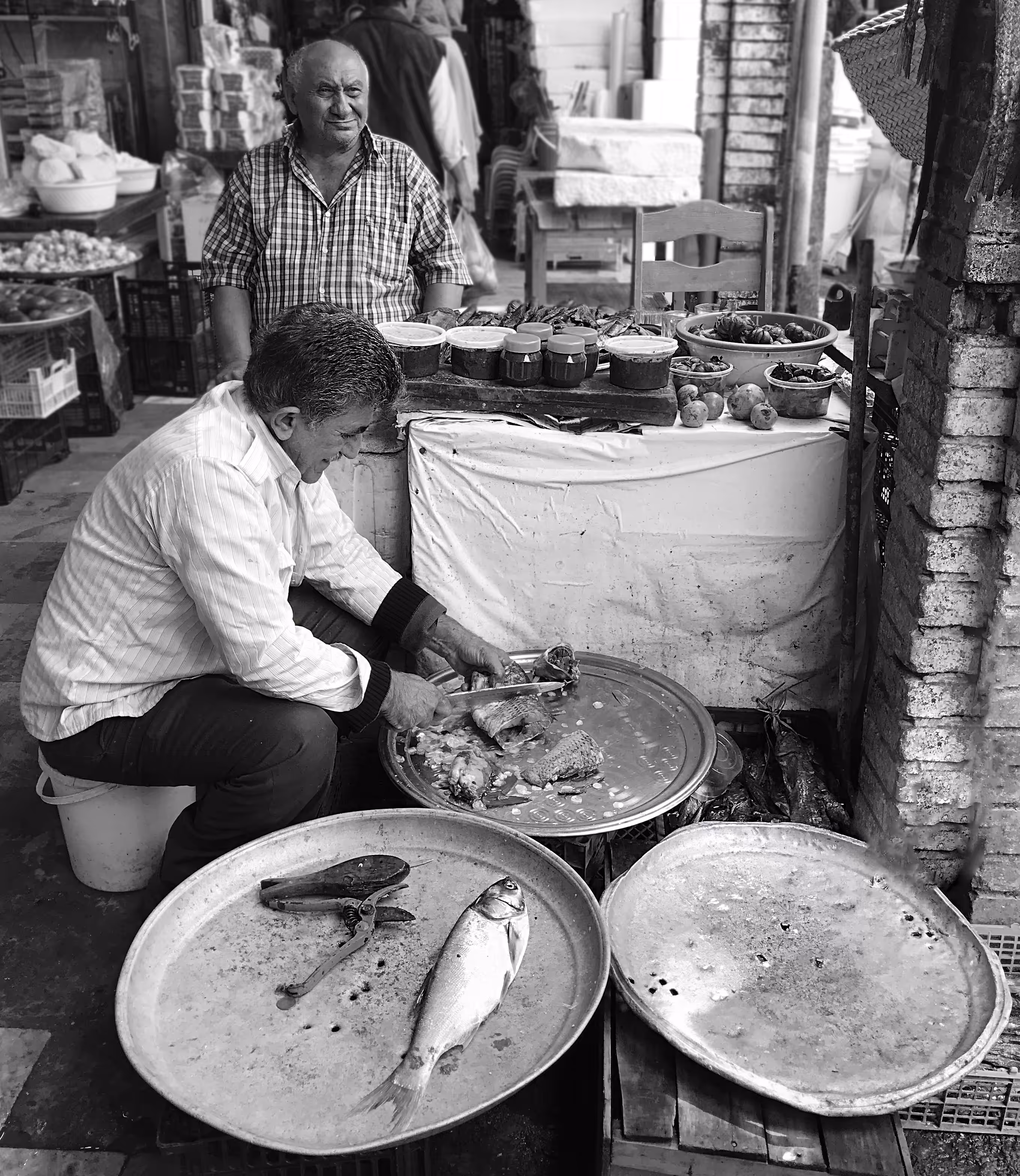 The old man & the fish